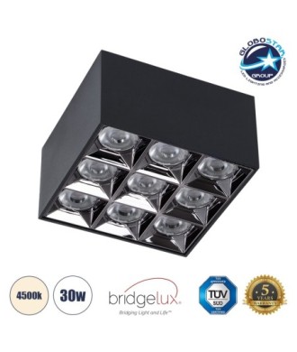 GLOBOSTAR® LUMINAR 60336 Downlight Σποτ LED 30W 4200lm 36° AC 220-240V IP20 Φυσικό Λευκό 4500K - Osram SMD Chip & TÜV SÜD Driver - Μαύρο Ματ - Μ12 x Π12 x Υ6.6cm - 5 Χρόνια Εγγύηση